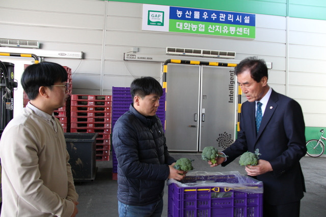 강원 평창 대화농협 농산물산지유통센터(APC)에서 김진복 조합장(오른쪽)과 직원들이 브로콜리 품위를 점검하고 있다.