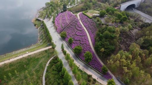 광교호수공원 신대호수에 조성된 철쭉동산. 수원특례시 제공