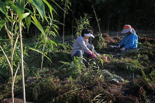 사진은 기사와 직접 관련이 없음. 게티이미지뱅크