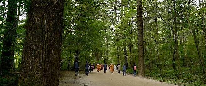 영화 '오늘 출가합니다' [미러볼 스튜디오 제공. 재배포 및 DB금지]