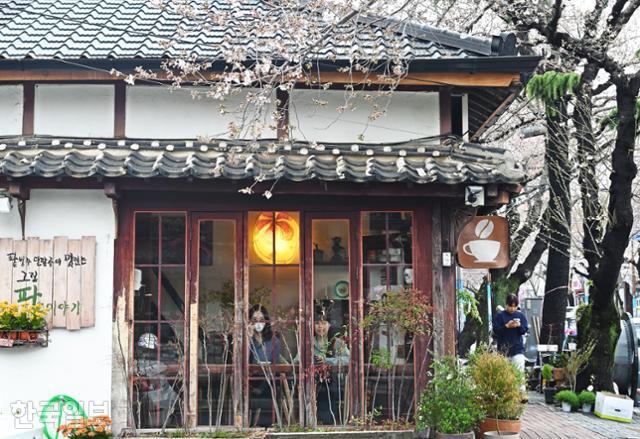국내 최초의 계획도시 진해는 태생적으로 모순을 내재하고 있다. '왜색풍'이라며 곱지 않게 보던 100년 넘은 일본식 가옥이 요즘은 복고 감성으로 새롭게 조명받고 있다.