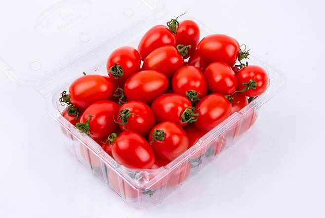 게티이미지뱅크