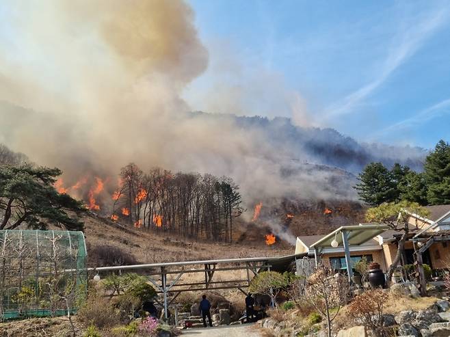 30일 충북 제천시 봉양읍 명도리 봉황산에서 발생한 불이 강풍을 타고 확산하면서 민가를 위협하고 있다. (사진=독자 제공) 2023.3.30. photo@newsis.com *재판매 및 DB 금지