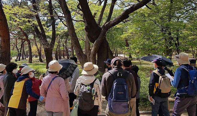 지난해 나무 이야기 해설 프로그램 현장 모습  [문화재청 제공. 재판매 및 DB 금지]