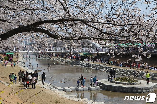 2015년 열린 금산천 봄꽃축제 모습.(사진=금산군 제공)