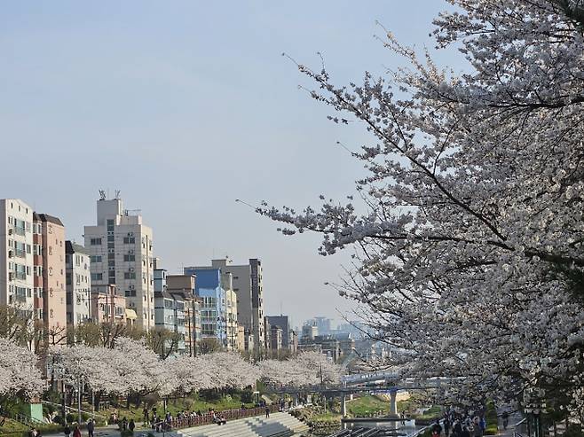 서울,오늘날씨,내일날씨©bntnews&nbsp;