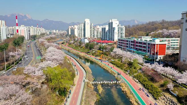 벚꽃축제 '우이천 꽂히다'가 열리는 우이천 일대 전경./ 강북구