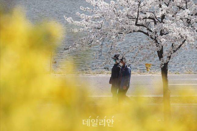 내일날씨.ⓒ데일리안DB