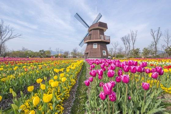 순천만국가정원 내 '네덜란드 정원'. 사진 순천시