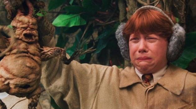 사진=영화 '해리포터'