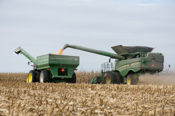 Grain farm in the United States [U.S. GRAINS COUNCIL]