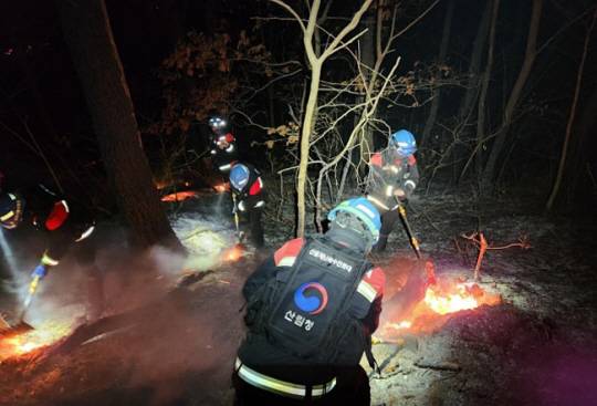 31일 새벽 경기 포천시 영북면 한 야산에서 산불진화대원들이 불을 진화하고 있다. 산림청 제공