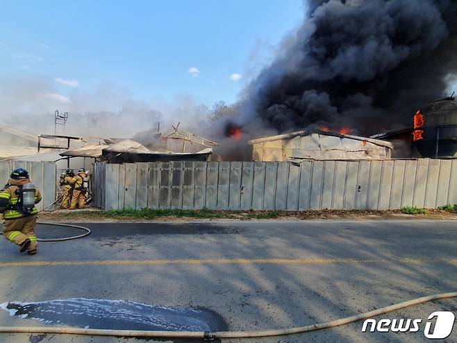 1일 오후 2시40분쯤 충북 괴산군 사리면의 한 돼지 축사에서 화재가 발생해 2억9500여만원의 재산 피해가 났다.(괴산소방서 제공) / 뉴스1
