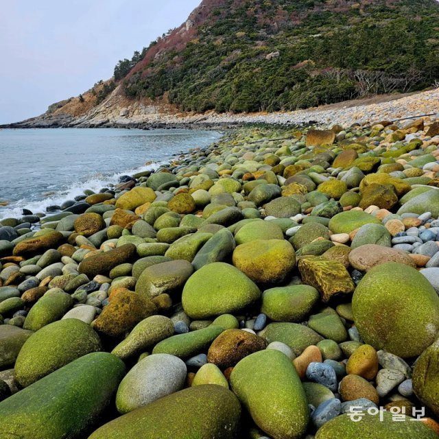 공룡알해변.