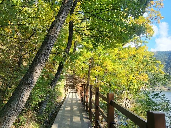 명품 숲길 30선 중 장려 숲길로 뽑힌 백양산 나들숲길. 산림청 제공