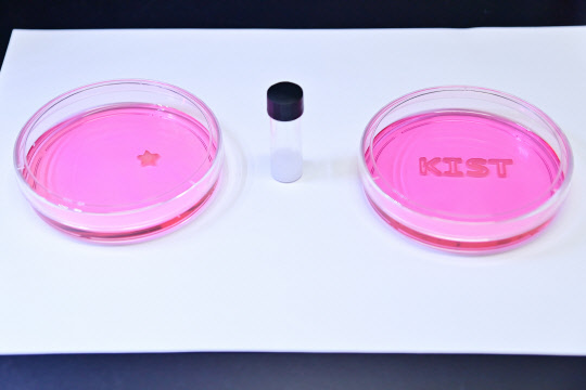 KIST가 개발한 온도감응형 하이드로겔 기반의 바이오 잉크(가운데)와 이를 이용해 3D 바이오 프린팅 기술로 제작한 3차원 지지체(왼쪽, 오른쪽)



KIST 제공
