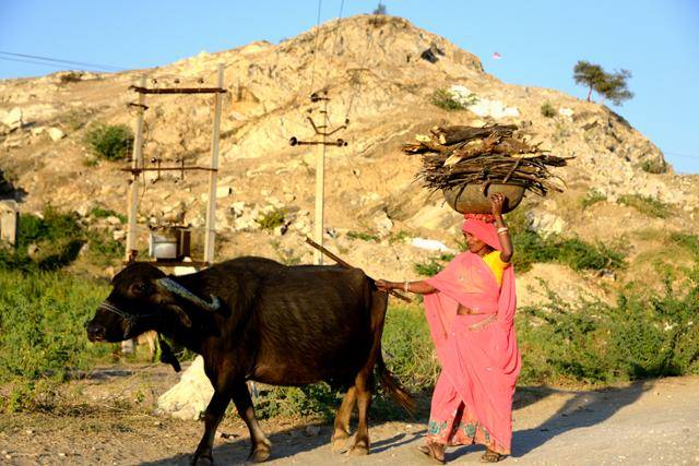 ⓒ여실화(서애자)