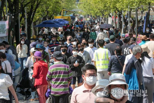 ▲ 양구군과 양구문화재단은 2023 자연중심 양구 곰취축제, 2023 국토정중앙 양구 배꼽축제, 2023 청춘양구 펀치볼 시래기사과축제 등 3대 축제를 모두 방문하면 양구특산물 등을 선물로 제공하는 재방문 유도 이벤트를 진행해 지역경제 활성화에 기여할 방침이라고 2일 밝혔다. 2022 양구 곰취축제 모습.