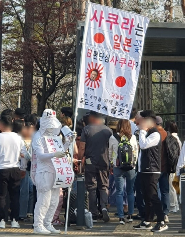 서울 송파구 석촌호수공원 인근에서 '벚꽃축제 반대' 1인 시위를 벌이는 한 남성의 모습. /사진=온라인 커뮤니티 '에펨코리아' 캡처