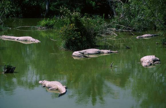 미국 플로리다에서 아버지의 비정한 행각이 밝혀져 화제다. 사진은 기사 내용과 무관함./사진=이미지투데이