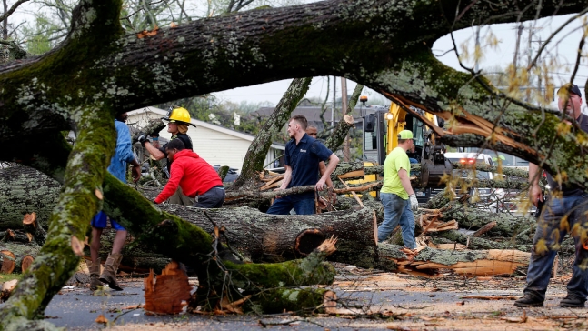 지난 3월 31일(현지시간) 미국 아칸소주 셔우드 지역에서 폭풍이 몰아친 후 경찰과 소방관들이 자원봉사자들과 함께 쓰러진 나무를 치우고 있다. AP·연합뉴스