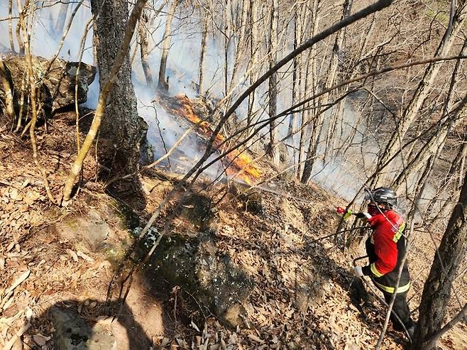 경북 군위군 소보면 보현리 한 야산 산불 현장. 산림청 제공