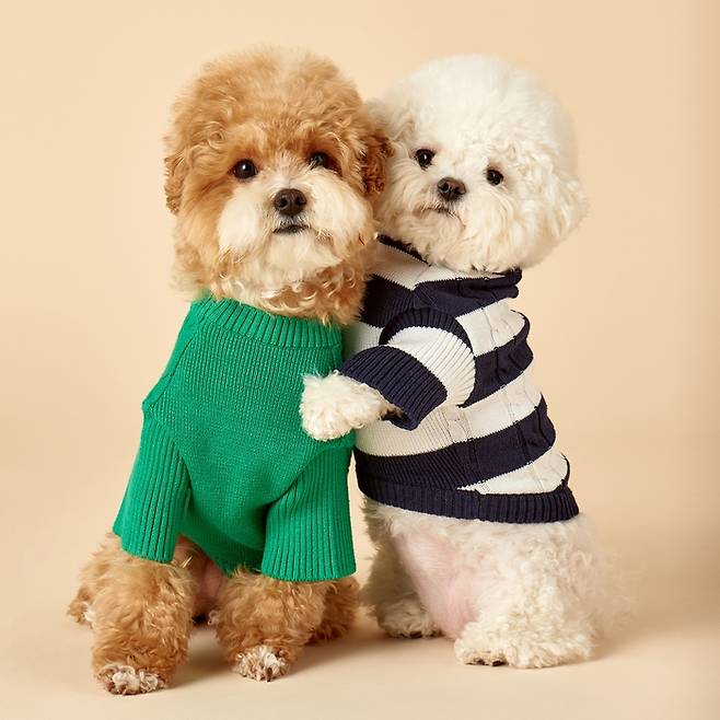 헤지스에서 내놓은 반려견 의류라인. 주인과 반려동물이 함께 입을 수 있는 시밀러룩 스타일이다. <사진제공=LF>