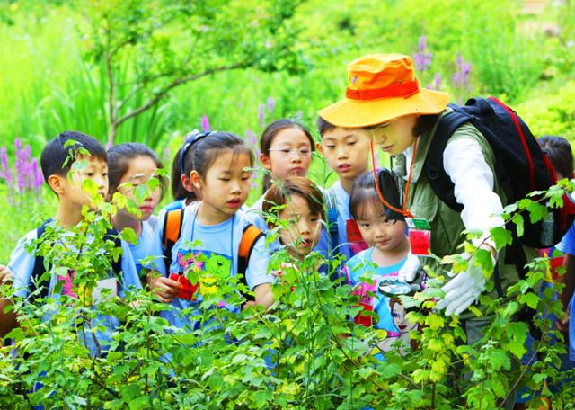 서울 광진구 아차산 '숲속여행 프로그램'에 참가한 어린이들이 숲해설가로부터 산에서 자라는 여러 식물들에 대한 설명을 듣고 있다. 한국일보 자료사진