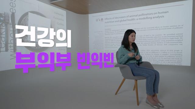 [h알파] ep.34 꿀벌 실종 사건 영상 캡처