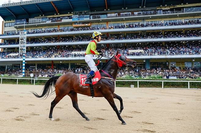 1분기 다승 및 상금 1위 (주)나스카 마주의 대표 경주마 어마어마