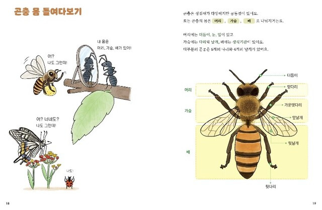 ‘알기 쉬운 곤충 이야기’ 내지. 제공=국립생태원