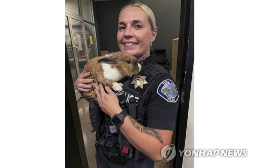 California Police Rabbit