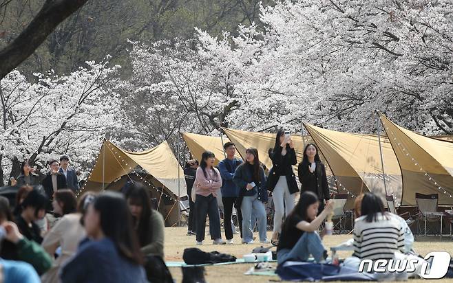 한 대학 캠퍼스의 모습. (사진은 기사 내용과 무관함) / 뉴스1 ⓒ News1 김영운 기자