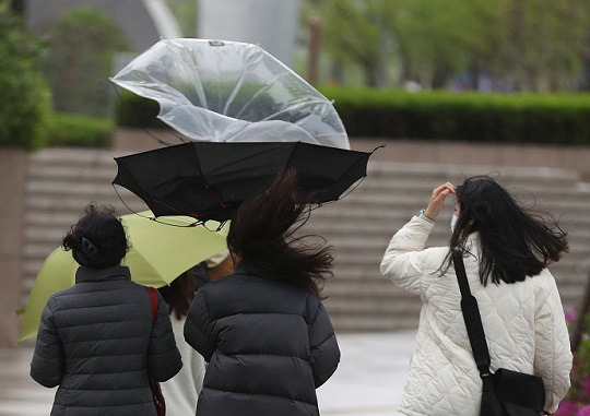 11일 서울 청계광장 인근에서 시민들이 쓴 우산이 뒤집히고 있다. 사진=뉴스1