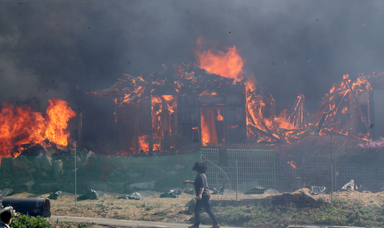 11일 강원 강릉에서 발생한 산불로 주택이 불에 타고 있다. 〈사진=연합뉴스〉