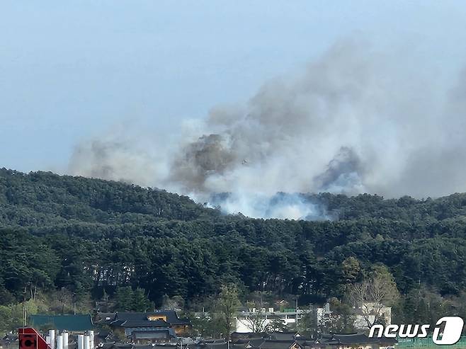 11일 오전 8시 20분쯤 강원 강릉 난곡동의 한 야산에서 불이나 연기가 치솟고 있다. 소방당국은 대응 2단계를 발령하고 총력 대응에 나서고 있다.(강원도소방본부 제공) 2023.4.11/뉴스1 ⓒ News1 한귀섭 기자