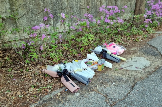 어린이보호구역 내 음주운전 사고로 배승아(9) 양이 사망한 가운데 9일 오전 대전 서구 둔산동 사고 현장에 배 양을 추모하기 위해 시민들이 놓고 간 국화꽃과 음료수, 장난감, 편지 등이 놓여있다. [사진출처=연합뉴스]