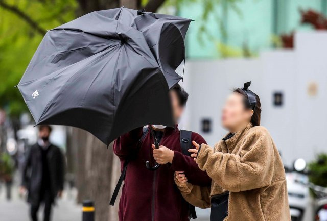 수도권 등 전국 대부분 지역에 강풍특보가 내린 11일 오전 서울 강남구 서울본부세관 인근 인도에서 한 시민의 우산이 뒤집히고 있다. 서울=뉴시스