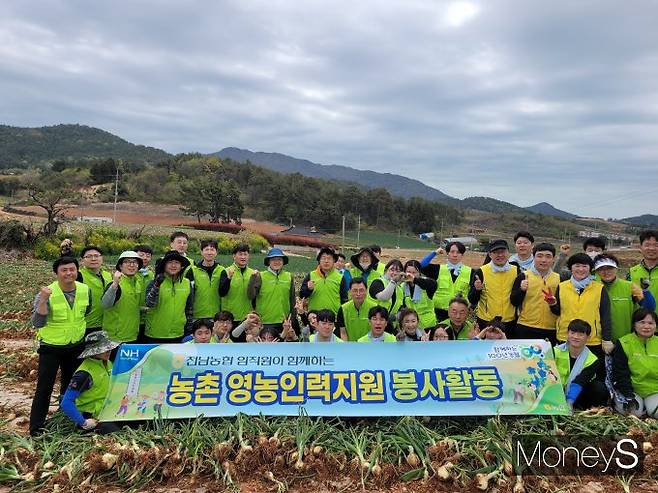 농협전남본부는 11일 거금도농협 인근 야외 행사장에서  '전남농협 영농지원 발대식'을 개최하고 광주대학교 학생 봉사단과 농촌일손돕기을 실시했다/사진=농협전남지역본부 제공.