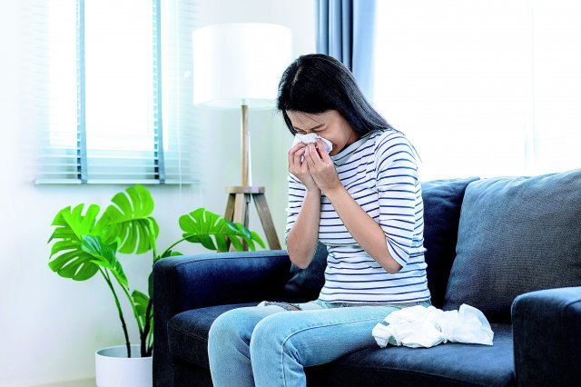 알레르기는 특정 원인 물질에 신체가 노출되면서 과민 반응을 일으키는 질환이다. 게티이미지코리아