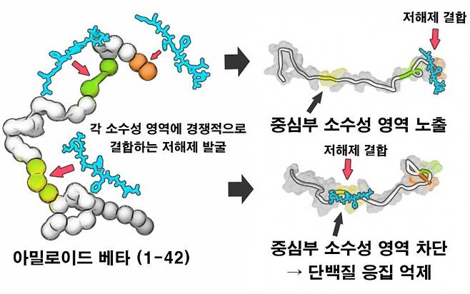 연구 결과 모식도. 한국연구재단 제공