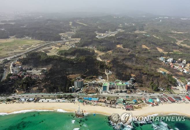 산불로 얼룩진 경포 (강릉=연합뉴스) 양지웅 기자 = 12일 오전 강원 강릉시 경포 일원 산림과 건물에 전날 대형 산불의 흔적이 처참하게 남아 있다. 2023.4.12 yangdoo@yna.co.kr