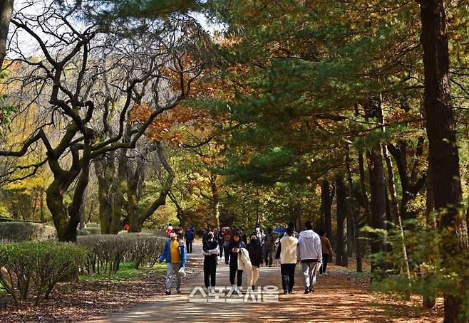 서울대 관악수목원을 산책하는 시민들. 제공=안양시