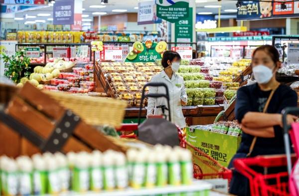 ▲서울시내 대형마트를 찾은 시민들이 장을 보고 있다. (뉴시스)