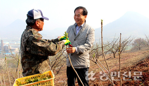 양준섭 전북 순창 동계농협 조합장(오른쪽)이 이용근 참두릅공동선별출하회장과 함께 참두릅을 수확하며 이야기를 나누고 있다.