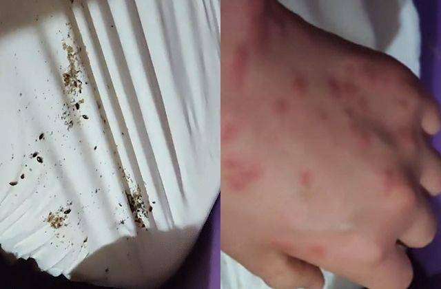 온라인 커뮤니티 캡처