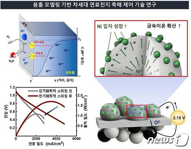 연구 내용 모식도(사진제공=인천대 명재하 교수)