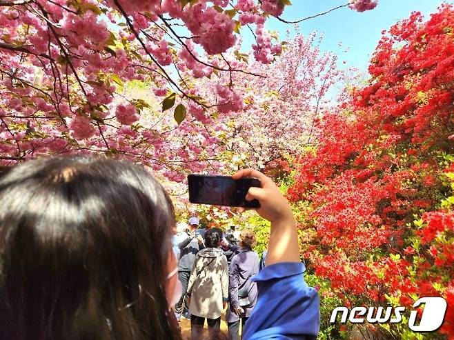 17일 온산공원 꽃동산을 찾은 시민이 사진촬영을 하고 있다.2023.4.17/뉴스1