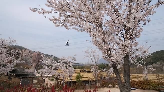높이 22m 상공에 매달린 줄을 자전거로 달리는 ‘익사이팅 사이클’ / 사진=홍지연 여행+ 기자
