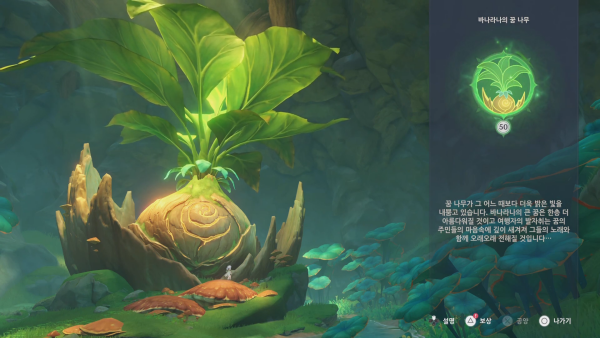 - 바나라나의 꿈 나무